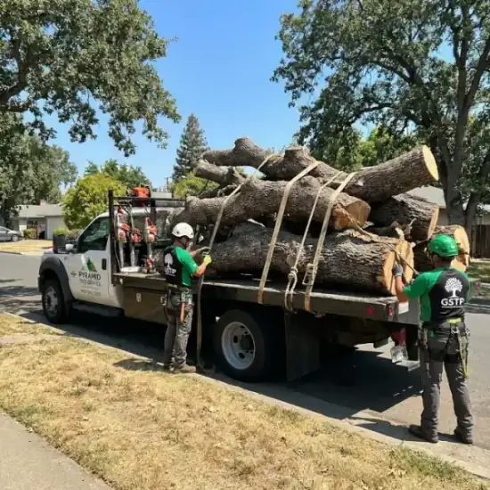 Tree service truck loaded with branches after a Nashville job